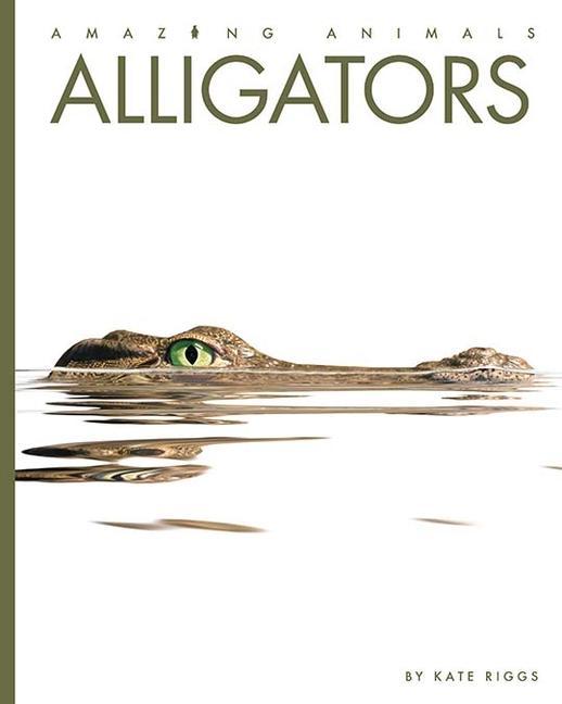 Carte Alligators Riggs