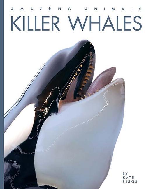 Carte Killer Whales 