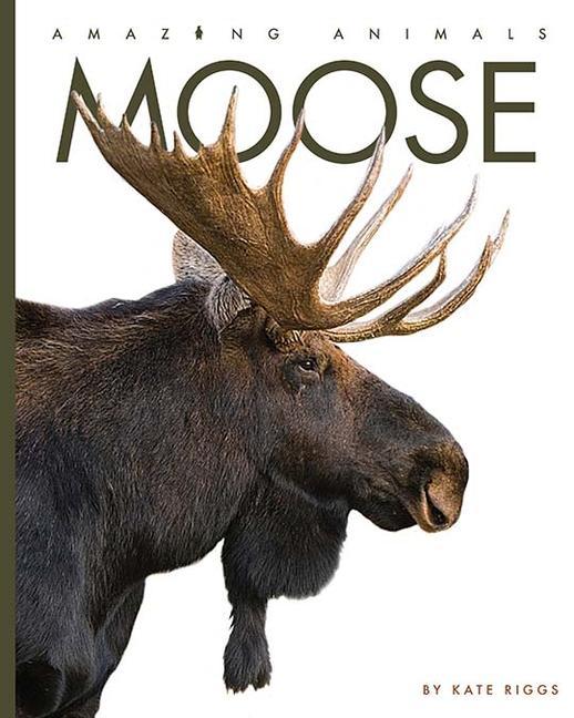 Knjiga Moose Kate Riggs