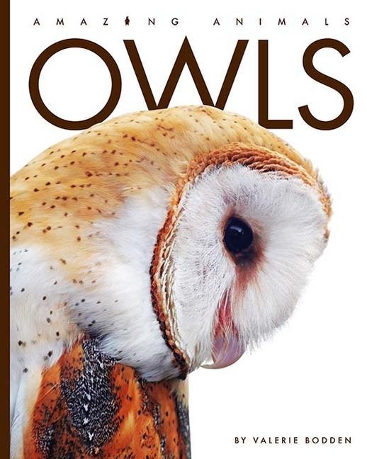 Carte Owls 