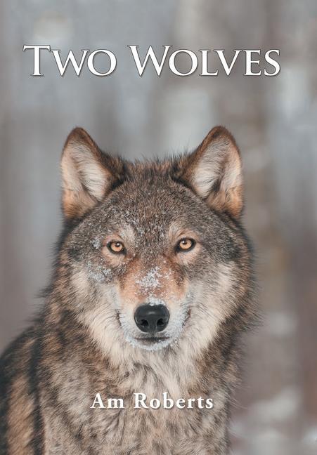 Knjiga Two Wolves Am Roberts