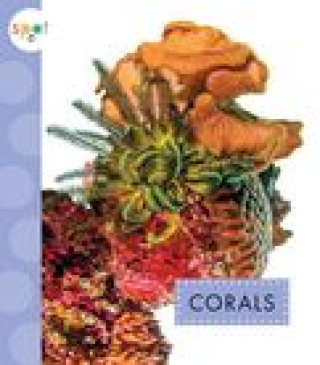 Book Corals Schuh