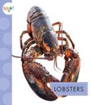 Kniha Lobsters 
