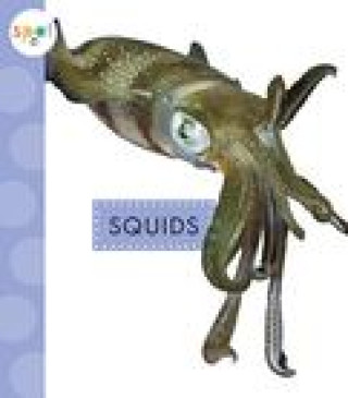 Knjiga Squids Schuh