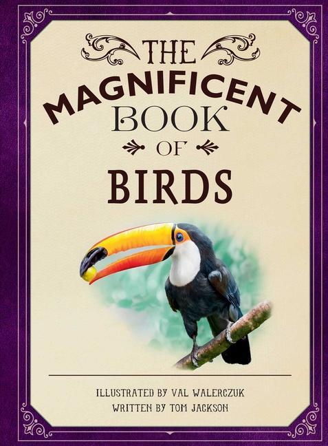 Книга Magnificent Book of Birds 