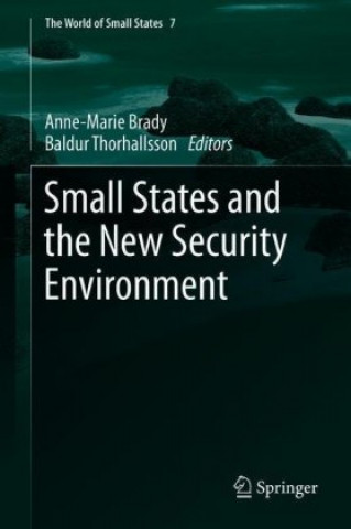 Könyv Small States and the New Security Environment Anne-Marie Brady