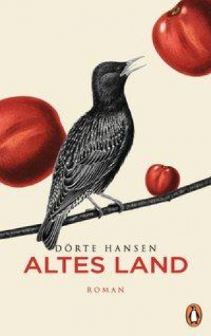 Buch Altes Land Dörte Hansen