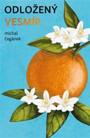 Kniha Odložený Vesmír Michal Čagánek