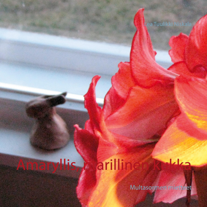 Könyv Amaryllis, ritarillinen kukka 