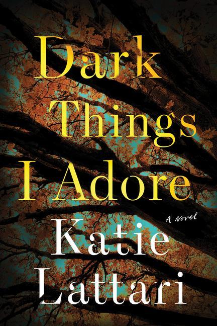 Knjiga Dark Things I Adore Katie Lattari