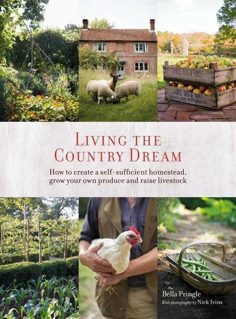 Книга Living the Country Dream Nick Ivins