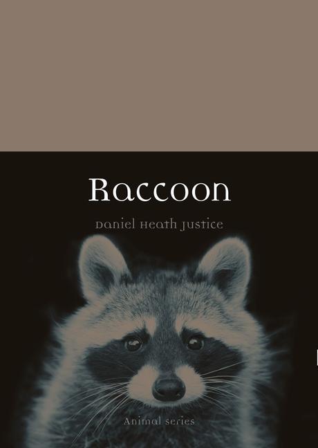 Книга Raccoon 