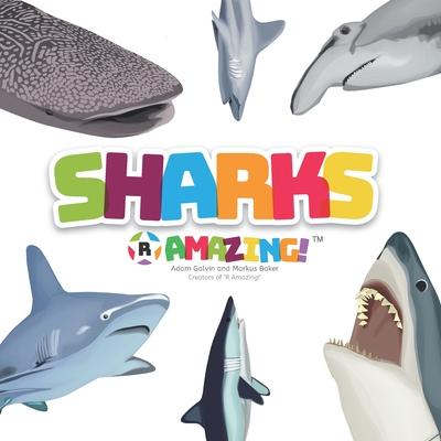 Buch Sharks R Amazing! Mark Baker