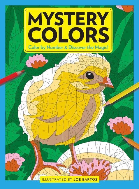 Kniha Mystery Colors: Birds 