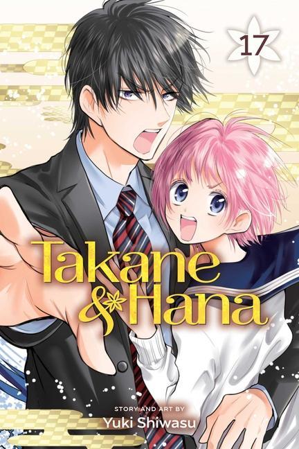 Kniha Takane & Hana, Vol. 17 