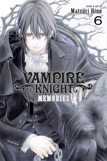 Kniha Vampire Knight: Memories, Vol. 6 Matsuri Hino
