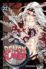Könyv Demon Slayer: Kimetsu no Yaiba, Vol. 22 Koyoharu Gotouge