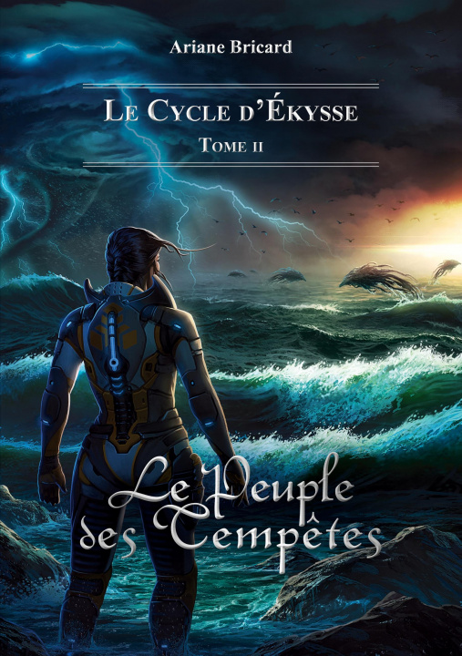 Buch Peuple des Tempetes Ariane Bricard