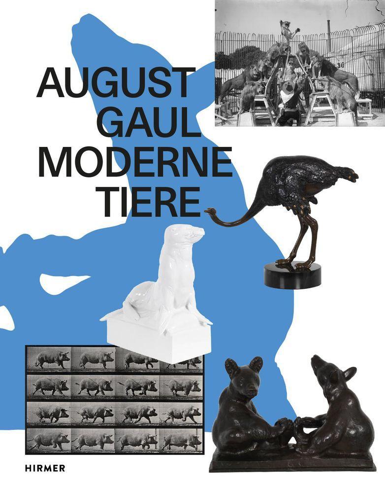 Book August Gaul Nina Zimmer