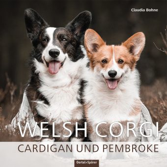 Book Welsh Corgi 