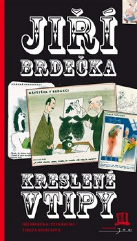 Book Kreslené vtipy Tereza Brdečková