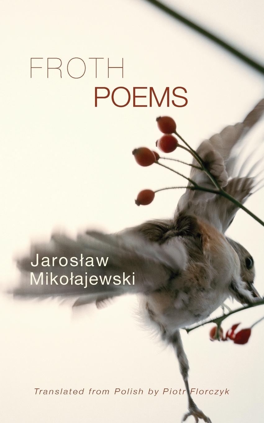 Book Froth Jaroslaw Mikolajewski