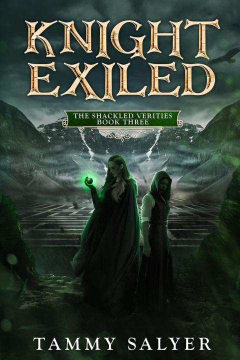 Knjiga Knight Exiled Tammy Salyer