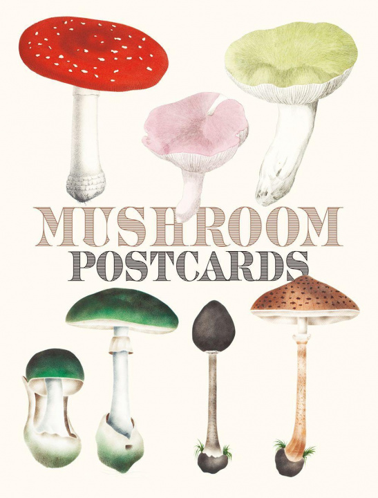 Carte Mushroom Postcards 