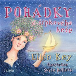 Book Pohádky z šípkového keře Ellen Key