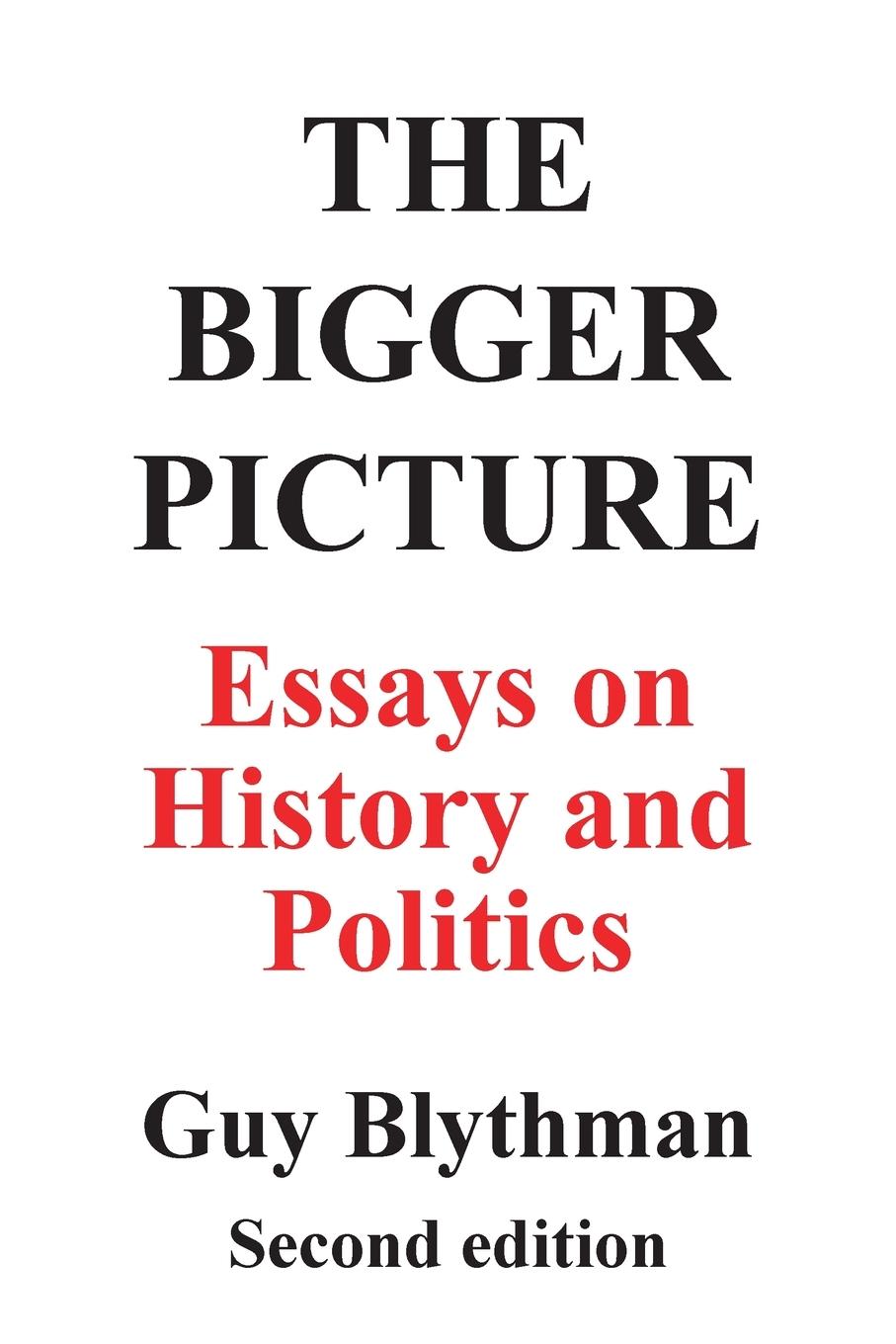 Boek Bigger Picture: Essays on History and Politics (Second Edition) Guy Blythman