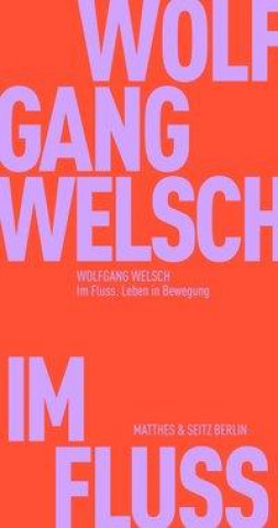Buch Im Fluss Wolfgang Welsch