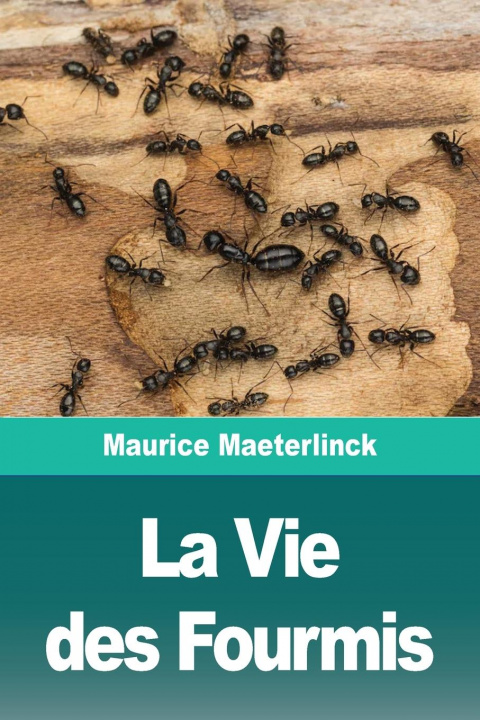 Könyv La Vie des Fourmis 