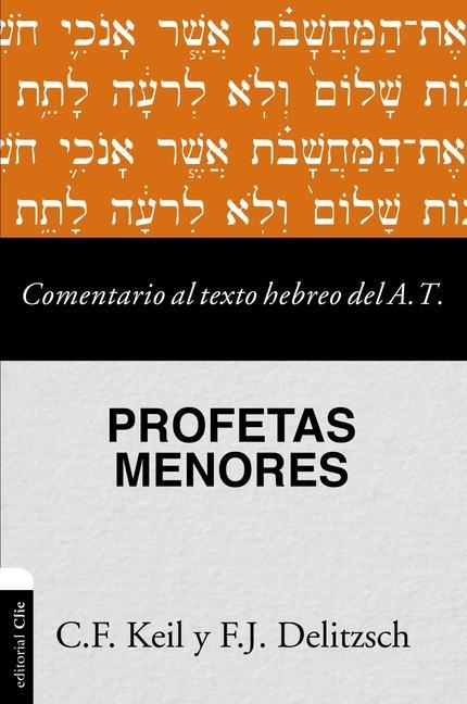 Buch Comentario al texto hebreo del Antiguo Testamento - Profetas Menores Franz Julius Delitzsch