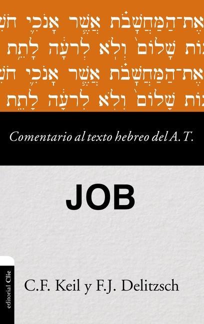 Carte Comentario al texto hebreo del Antiguo Testamento - Job Franz Julius Delitzsch