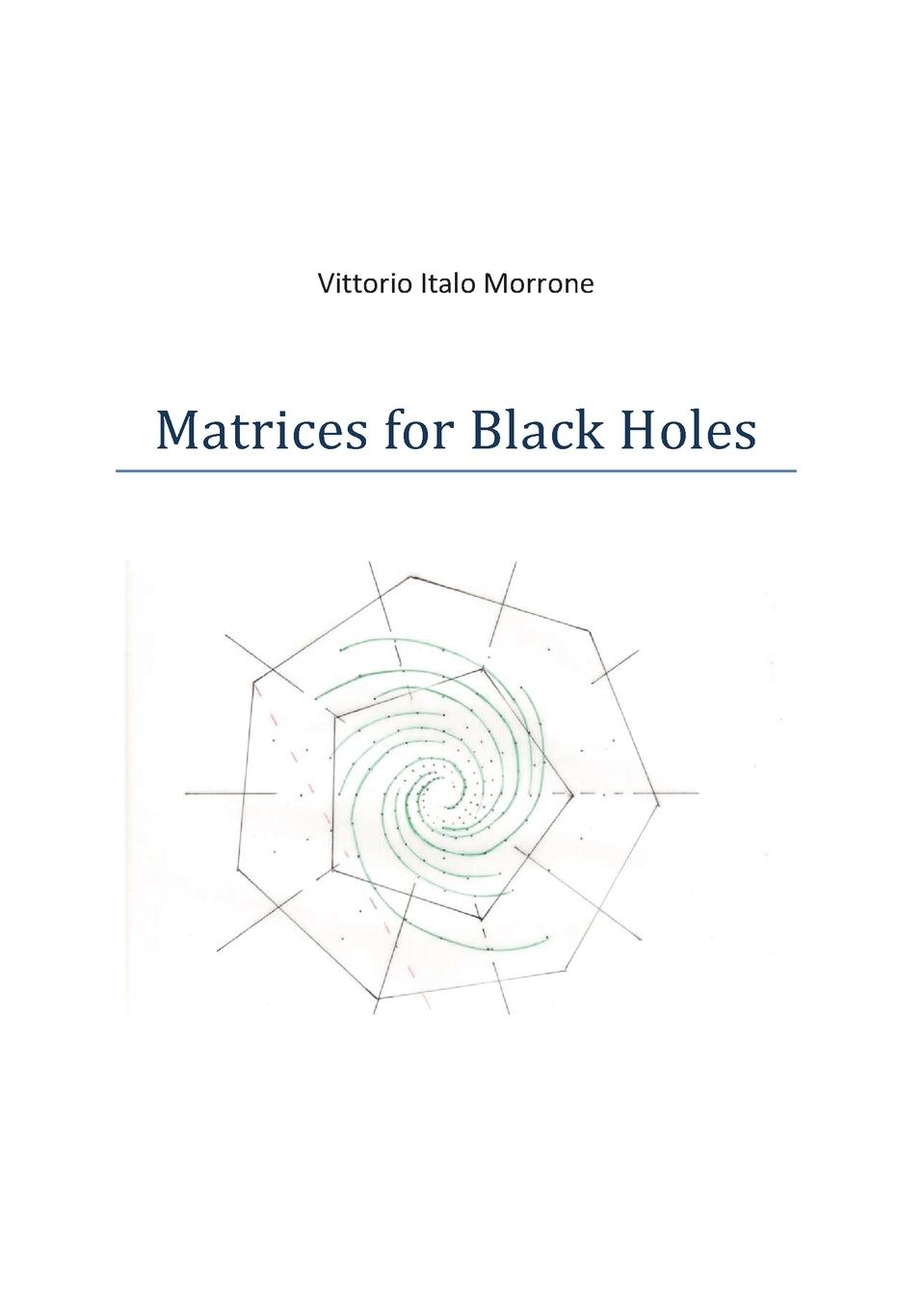 Kniha Matrices for Black Holes Vittorio Morrone