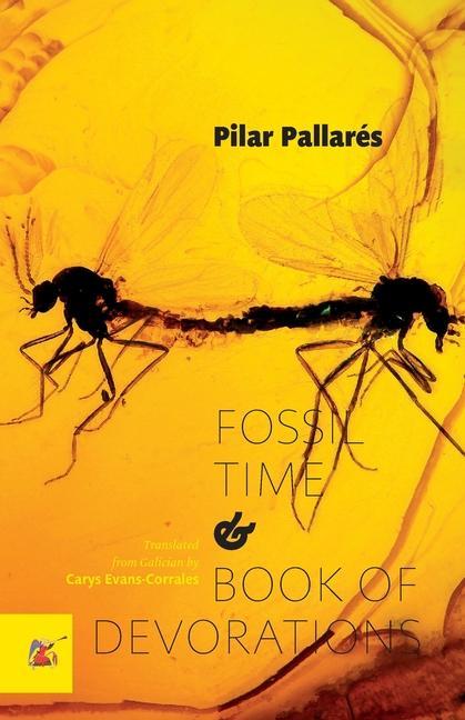 Kniha Fossil Time and Book of Devorations Luciano Rodríguez