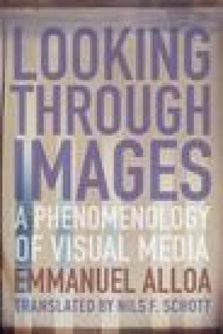 Knjiga Looking Through Images Emmanuel Alloa
