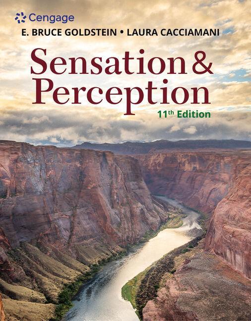 Kniha Sensation and Perception E. Bruce Goldstein