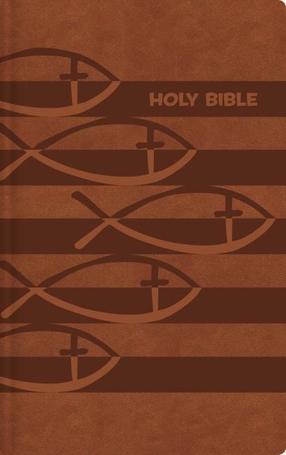 Kniha ICB, Holy Bible, Leathersoft, Brown 