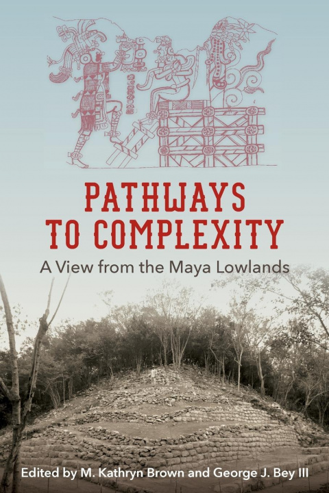 Knjiga Pathways to Complexity M. Kathryn Brown