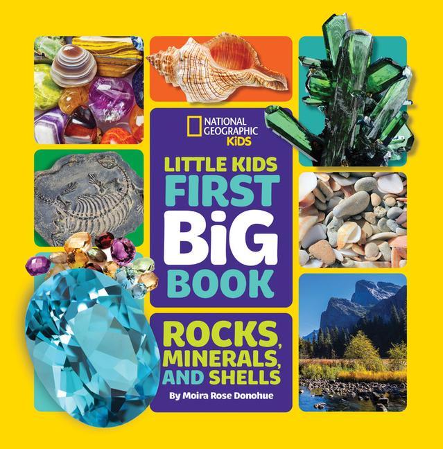 Książka Little Kids First Big Book of Rocks, Minerals and Shells 