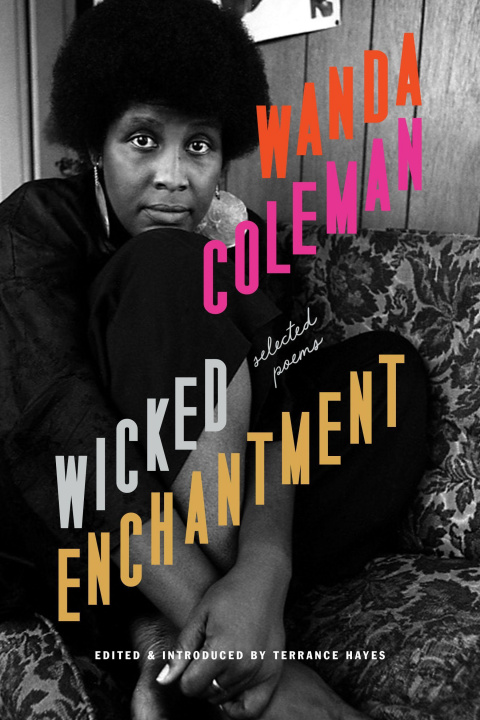 Buch Wicked Enchantment: Selected Poems Terrance Hayes