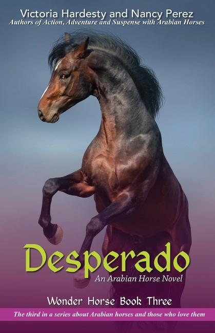 Kniha Desperado 