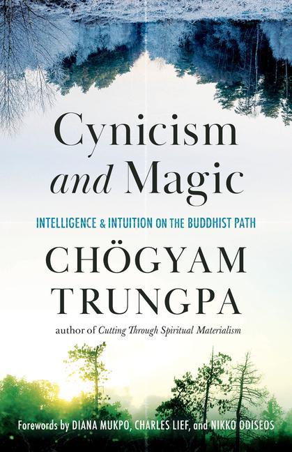 Kniha Cynicism and Magic Carolyn Gimian