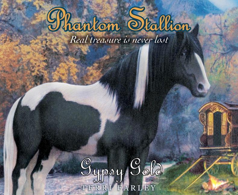 Audio Phantom Stallion, 23: Gypsy Gold Terri Farley