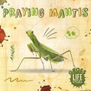 Knjiga Praying Mantis William Anthony