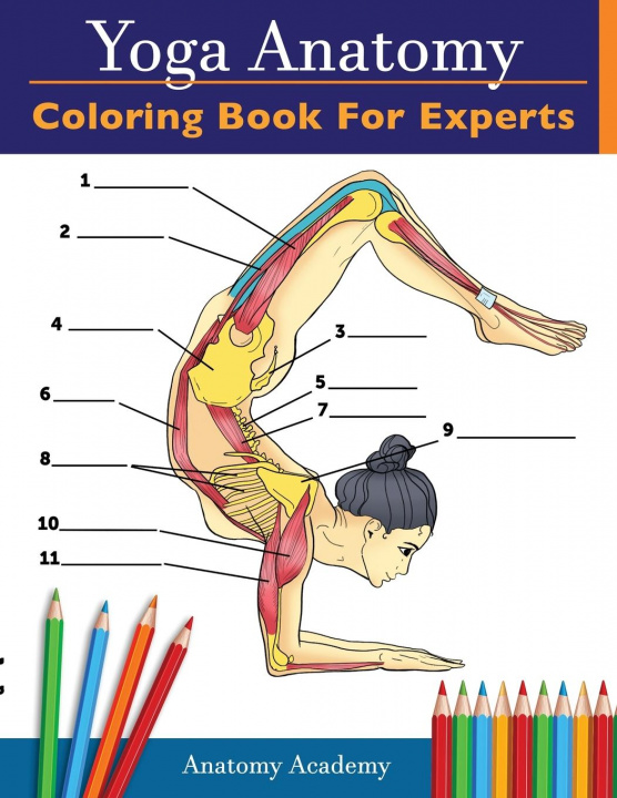 Carte Yoga Anatomy Coloring Book for Experts 