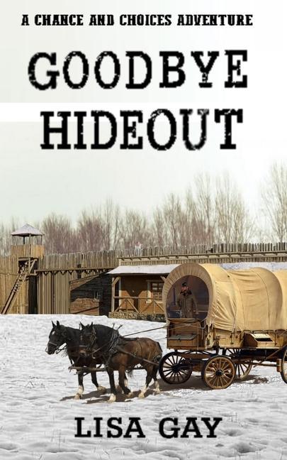 Book Goodbye Hideout Lisa Gay