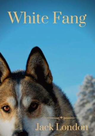 Książka White Fang: White Fang's journey to domestication in Yukon Territory and the Northwest Territories during the 1890s Klondike Gold 