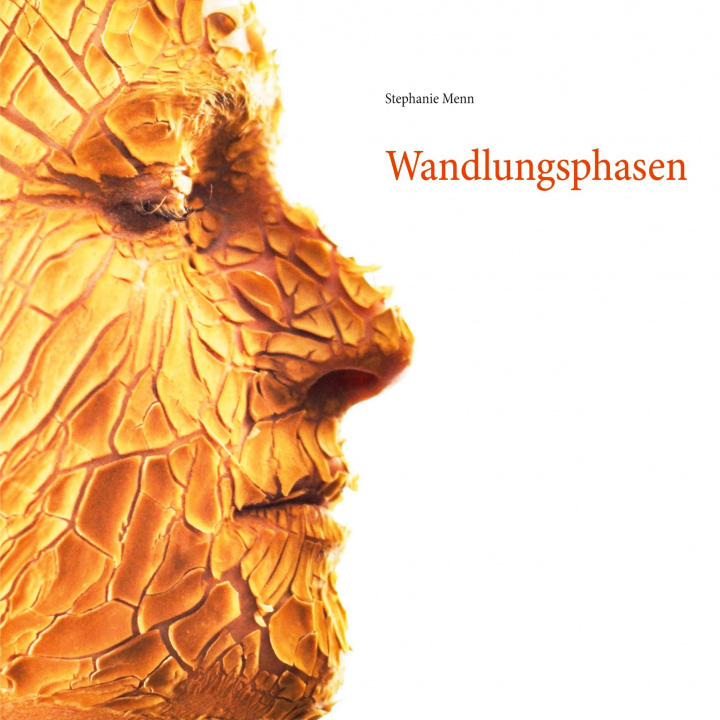 Knjiga Wandlungsphasen Stephanie Menn